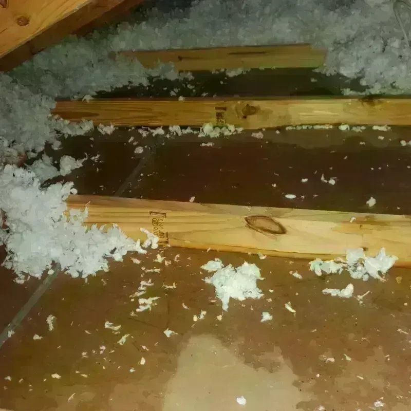 Attic Water Damage in Barrington Hills, IL