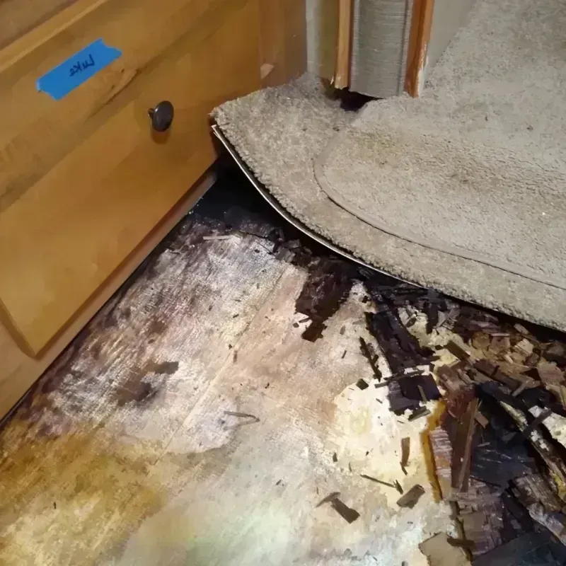 Best Wood Floor Water Damage Service in Barrington Hills, IL